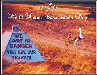 Great Indian Bustard - BNHS