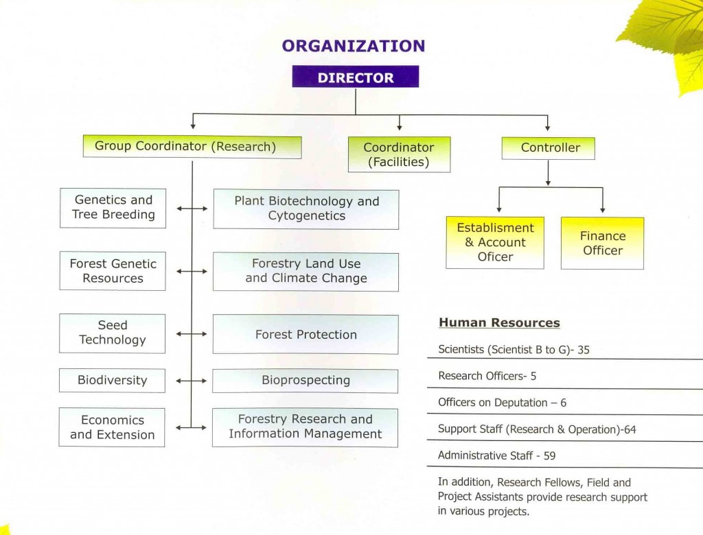 organisation